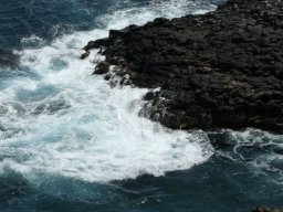 283538_10150265622014901_587494_n